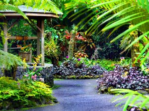 Que devriez-vous savoir à propos du jardin minéral ?
